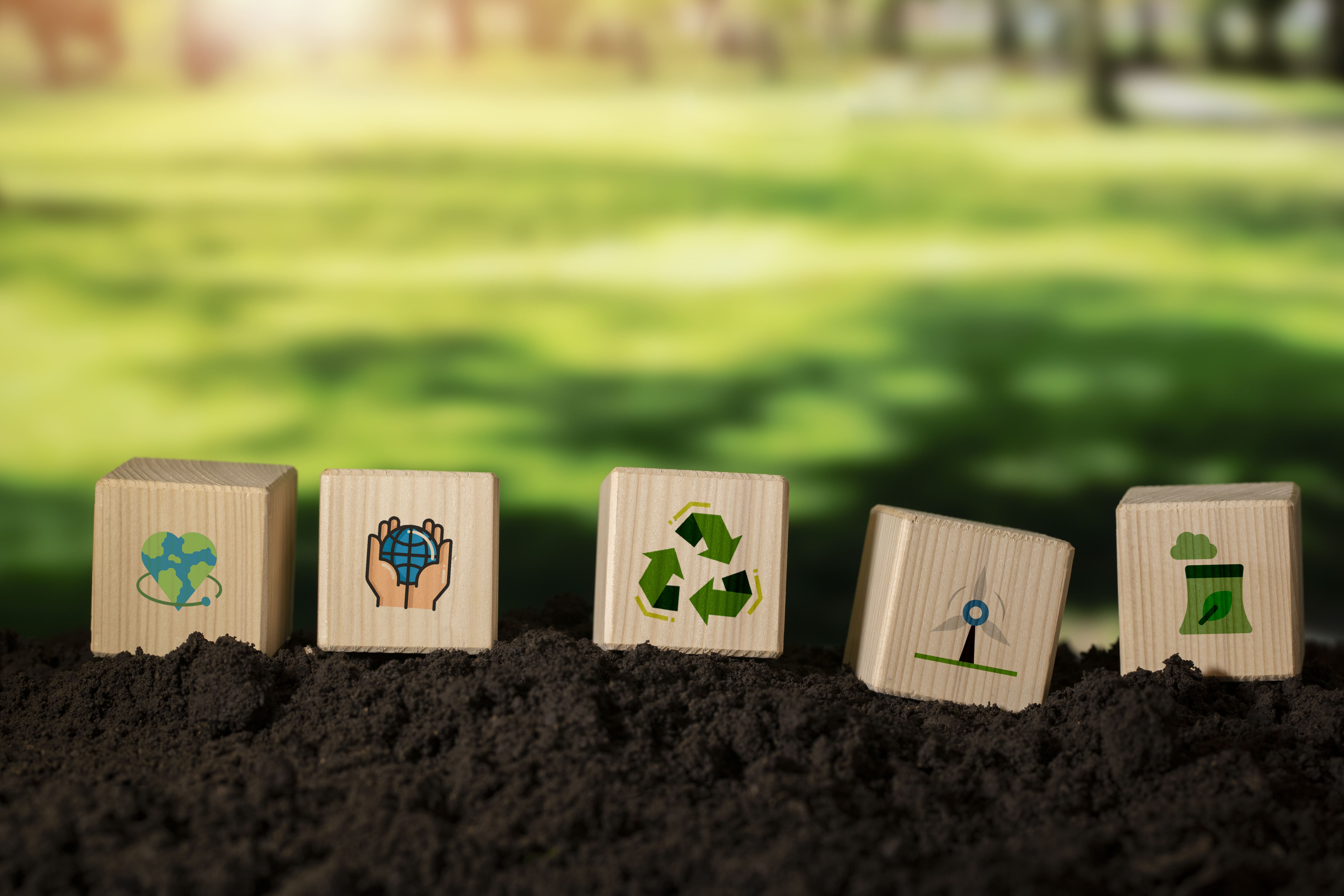 Sustainability & Environmental Solutions